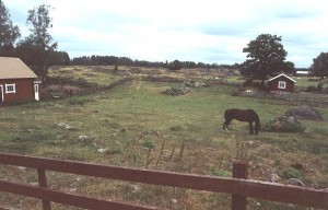 Olof Anderssons utsikt på ägor - körlings anfäder tittade ut mot dessa gröna områden